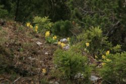 2011-04-24_Regina-F-Rau_Brunnstein-Spitze (029).JPG